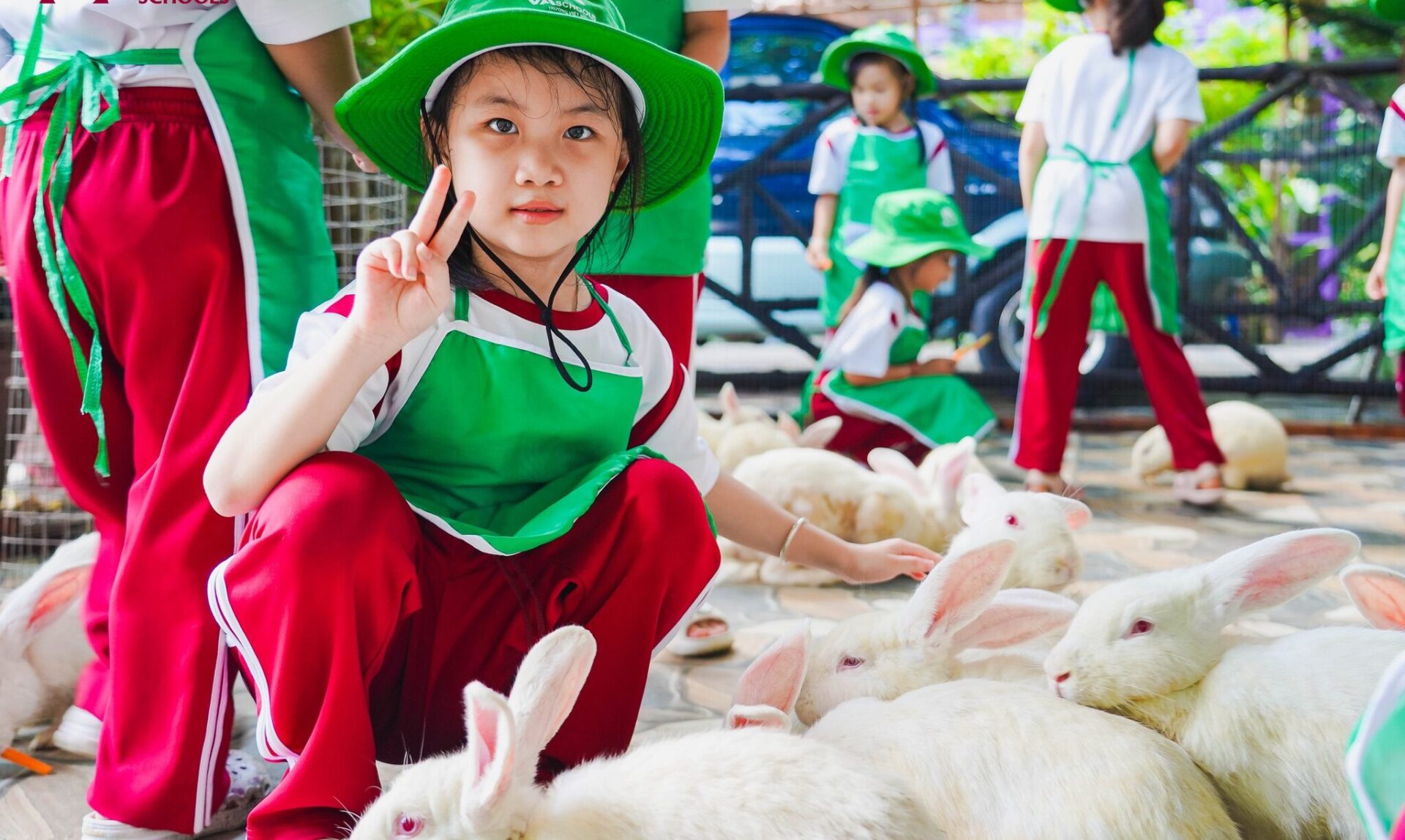 học sinh VA tham gia hoạt động ngoại khoá chăm sóc động vật